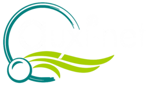 logo auxinet blanc (2)